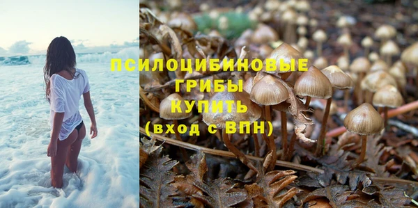 ешки Бугульма