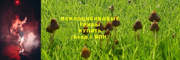 гашиш Бородино