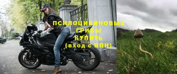 ешки Бугульма