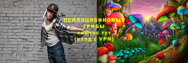 гашиш Бородино