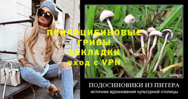 ешки Бугульма