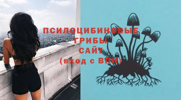 гашиш Бородино