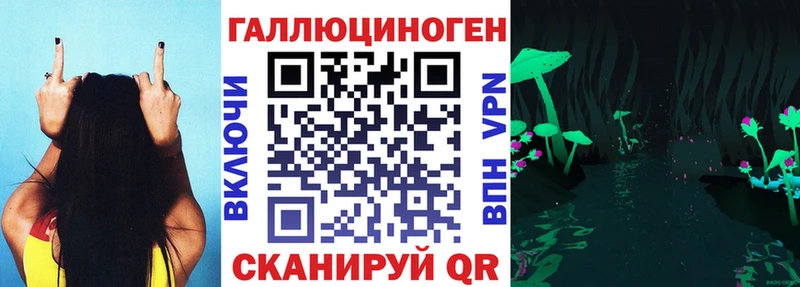 Купить закладки  Новая Ладога  Галлюциногенные грибы ЛСД 